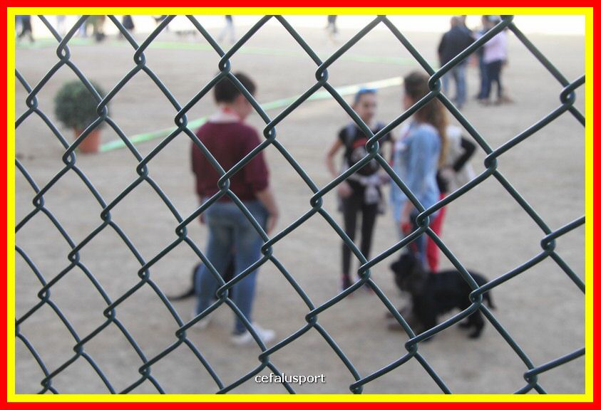 180311 mostra_canina 216.jpg